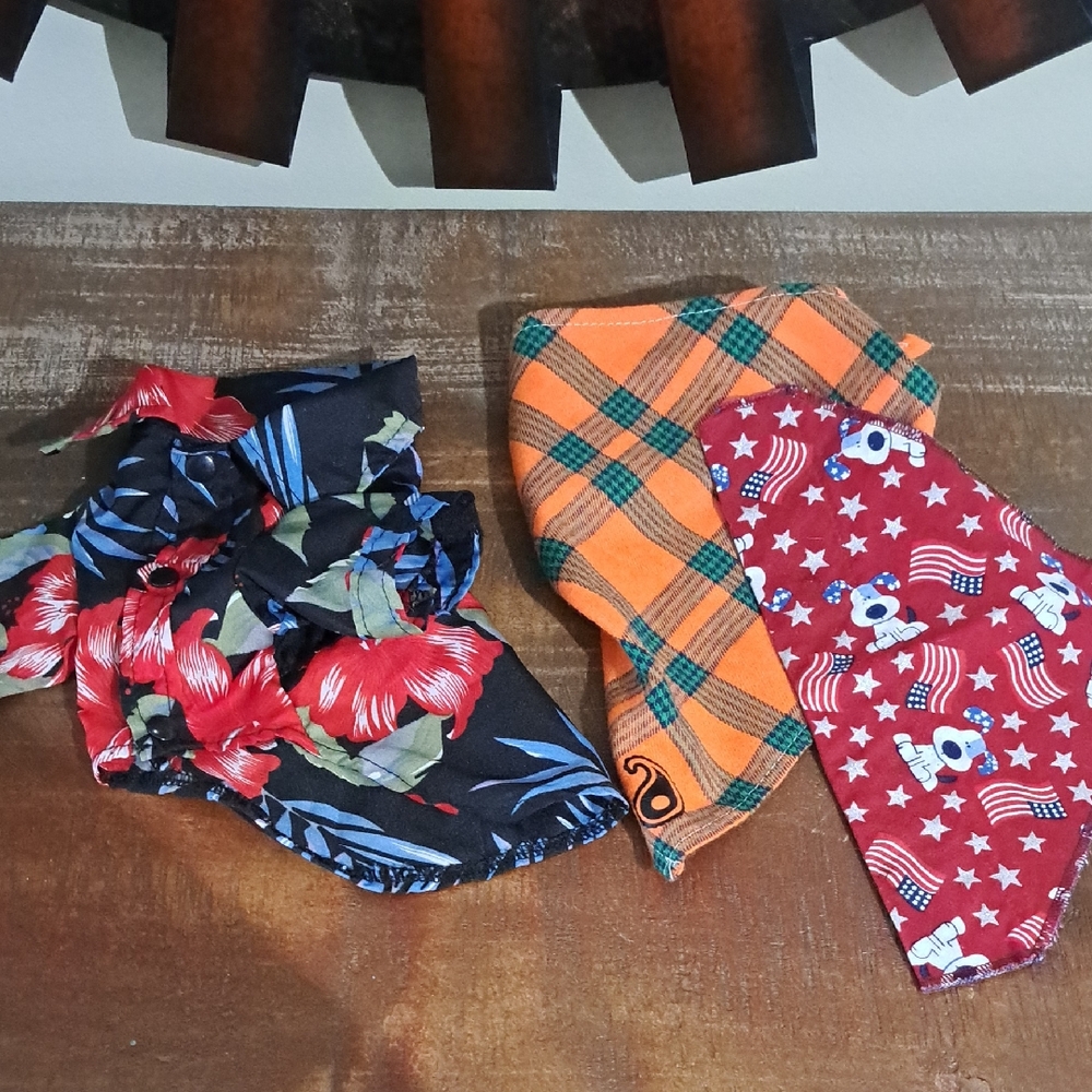 Colorful Dog Bandana & Shirt Set Xsmall